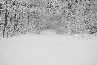 2009-12-31-Winterspaziergang1