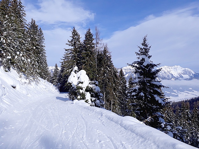 2019 01 31 11.23.52 Skiurlaub Schladming